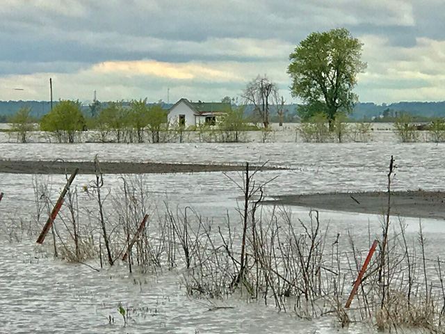 A flooded field in Southwest Iowa that will go unplanted this year. USDA answered some questions on prevented-planting decisions and disaster aid, but indicated the dollars likely won&#039;t go far enough to boost prevented-planting payments. (DTN file photo)